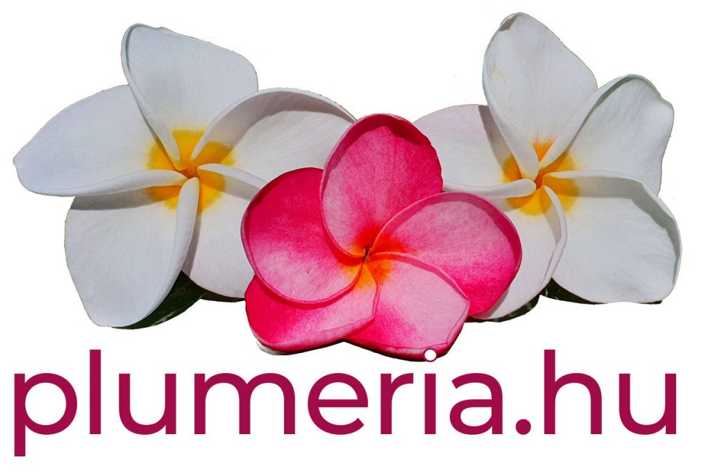 Plumeria rubra "Christina" - dugvány