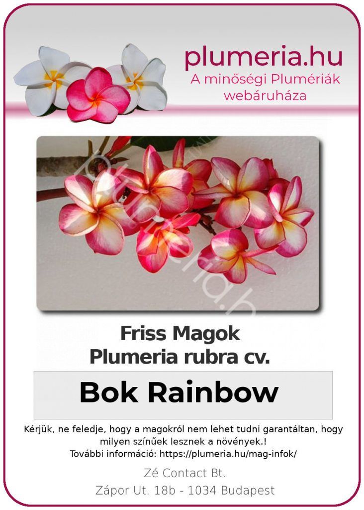 Plumeria rubra "Bok Rainbow"