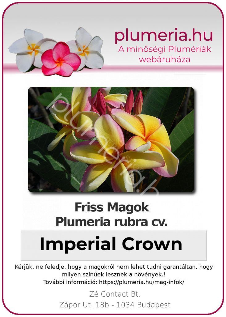 Plumeria rubra "Imperial Crown"