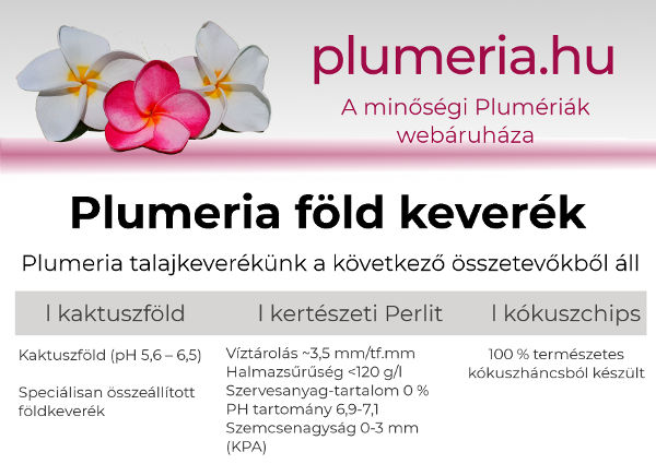 Plumeria specialis föld