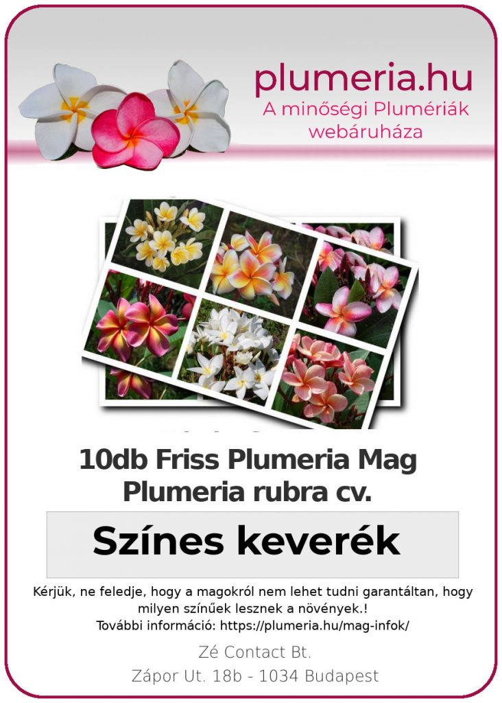 Plumeria rubra "Színes keverék" (10db friss mag)