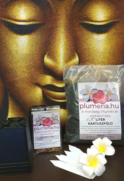 Plumeria- kezdő-magcsomag - 6db-os