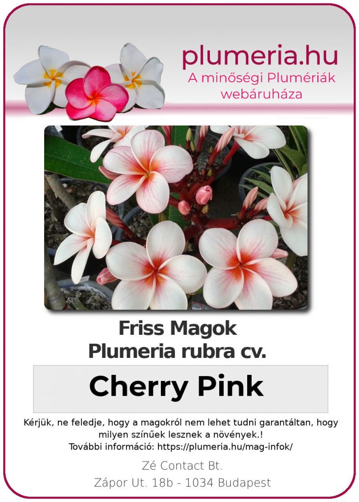 Plumeria rubra "Cherry Pink"