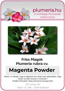 Plumeria powder "Magenta Powder"