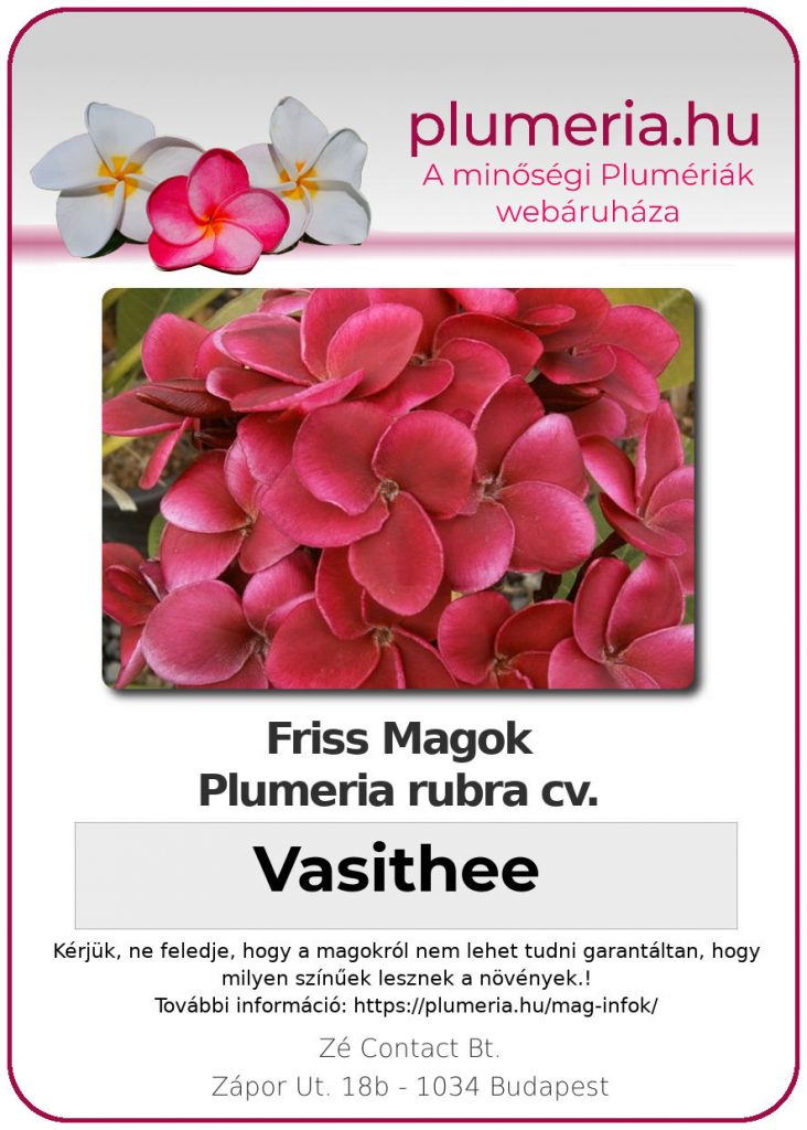 Plumeria rubra "Vasithee"