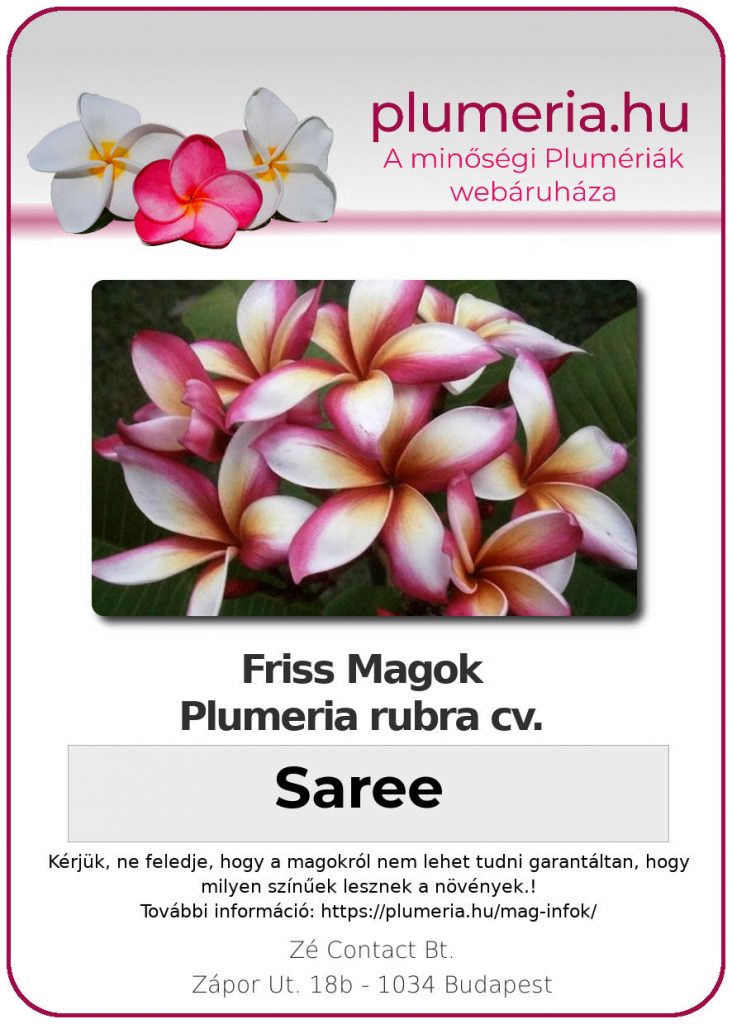 Plumeria rubra "Saree"