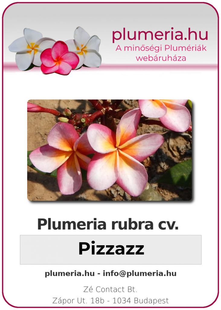 Plumeria rubra "Pizzazz"