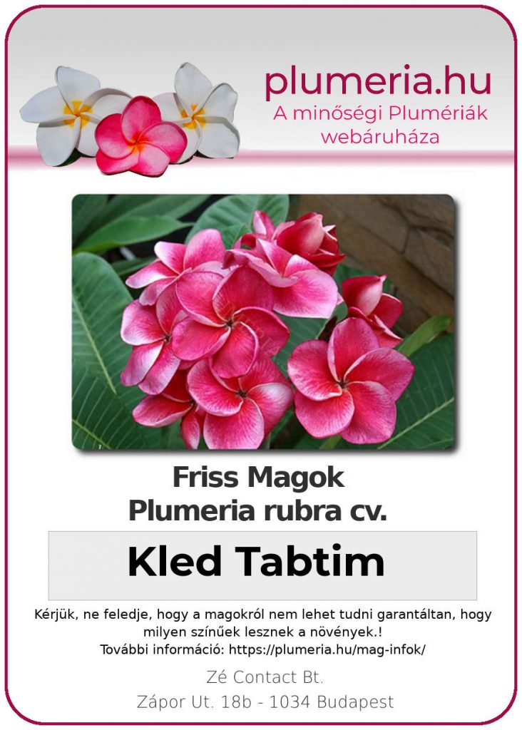 Plumeria rubra "Kled Tabtim"
