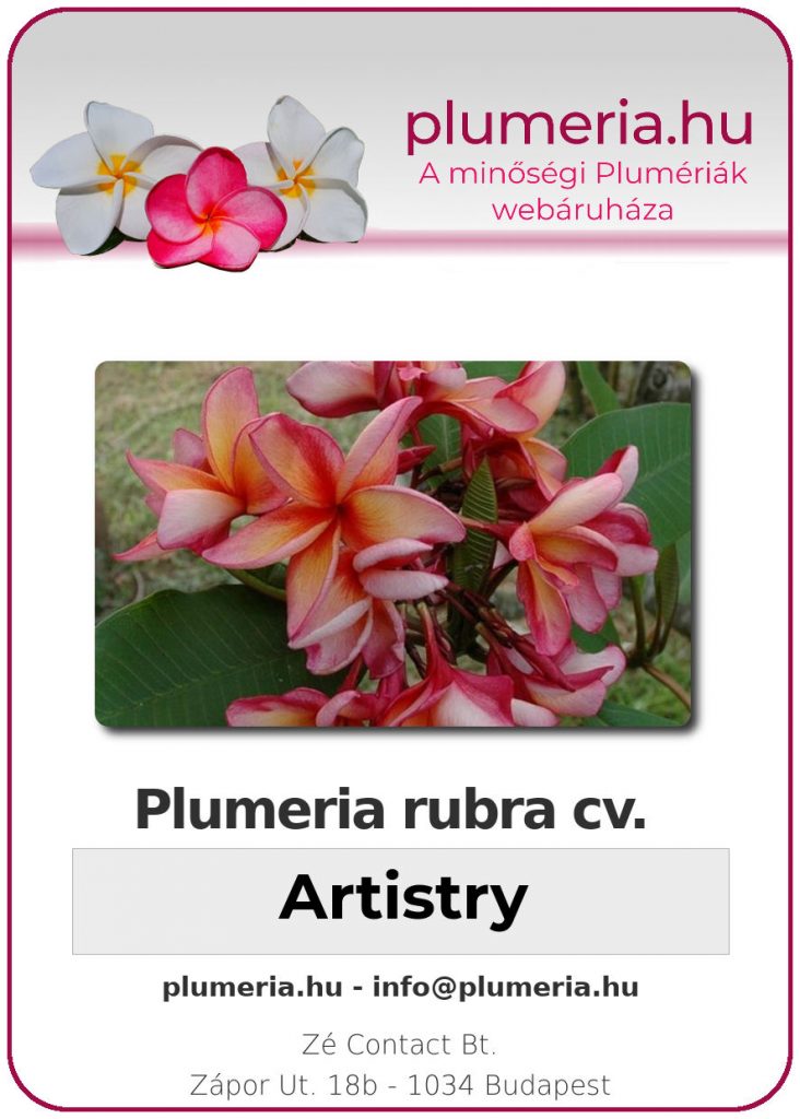 Plumeria rubra "Artistry"