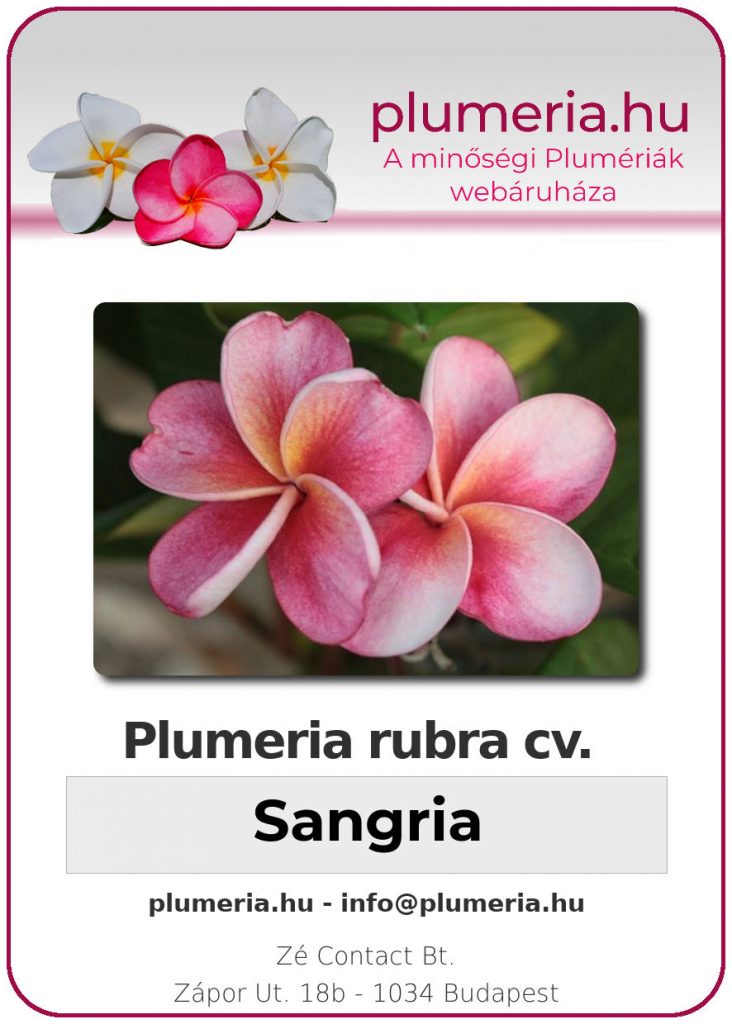 Plumeria rubra "Sangria"