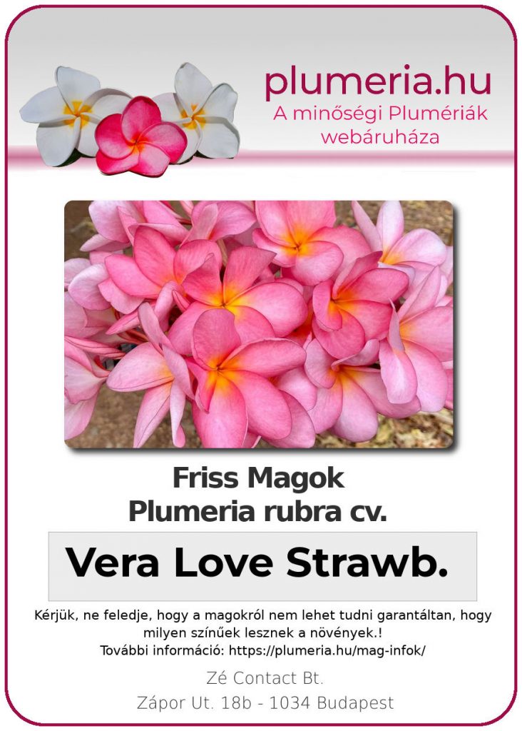 Plumeria rubra "Vera Love Strawberry"