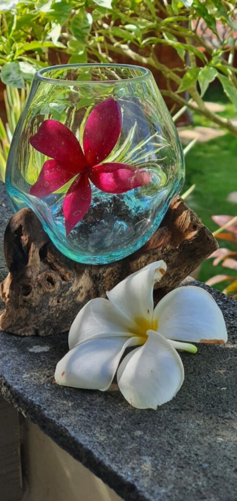 Üveg tál trópusi fagyökéren