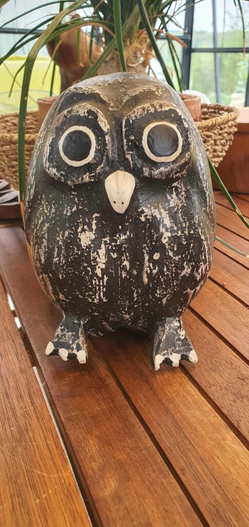 Bagoly-kókuszdióból-barna