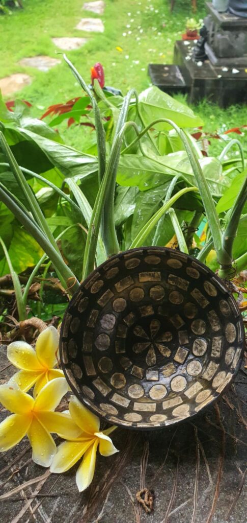 Kókusztál kagylóval