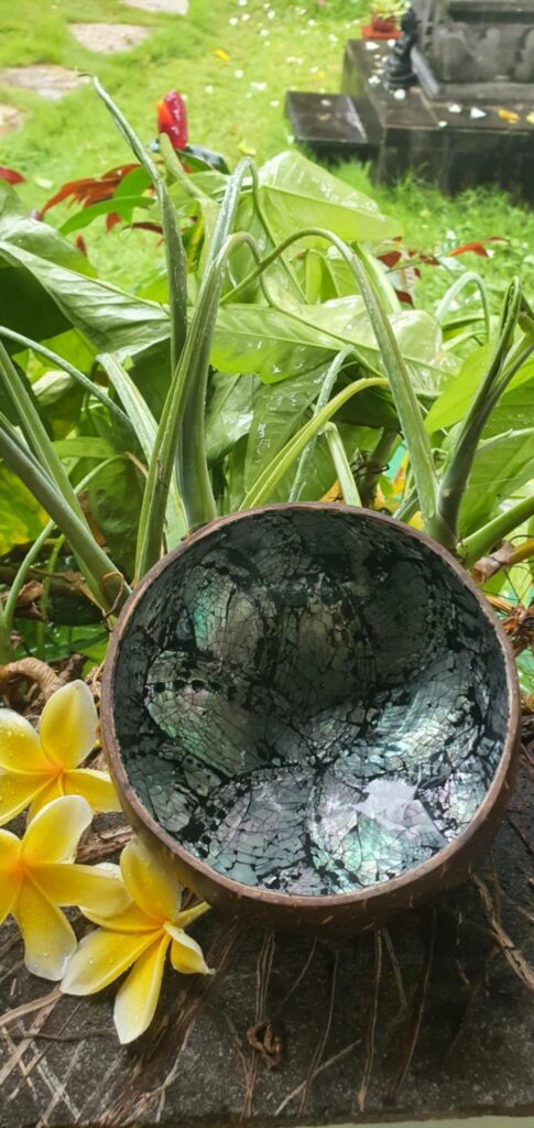 Kókusztál kagylóval -szürke